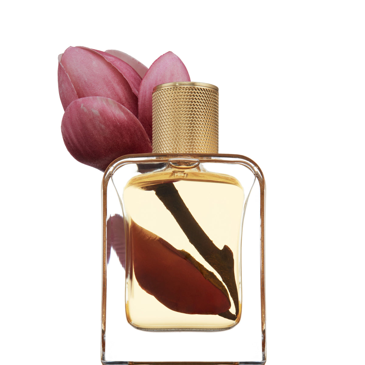Fragrance
